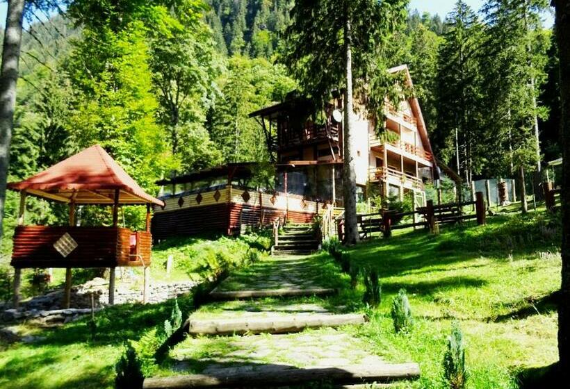 פנסיון Complex Vila Balea