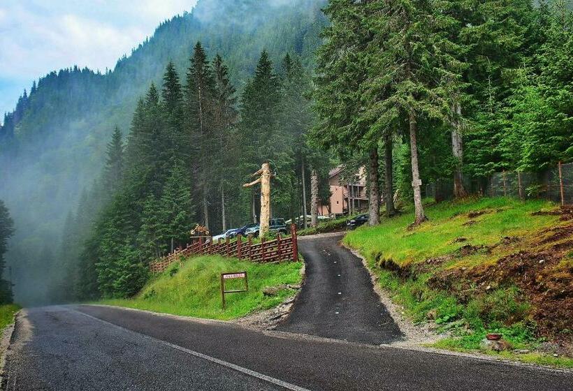 פנסיון Complex Vila Balea