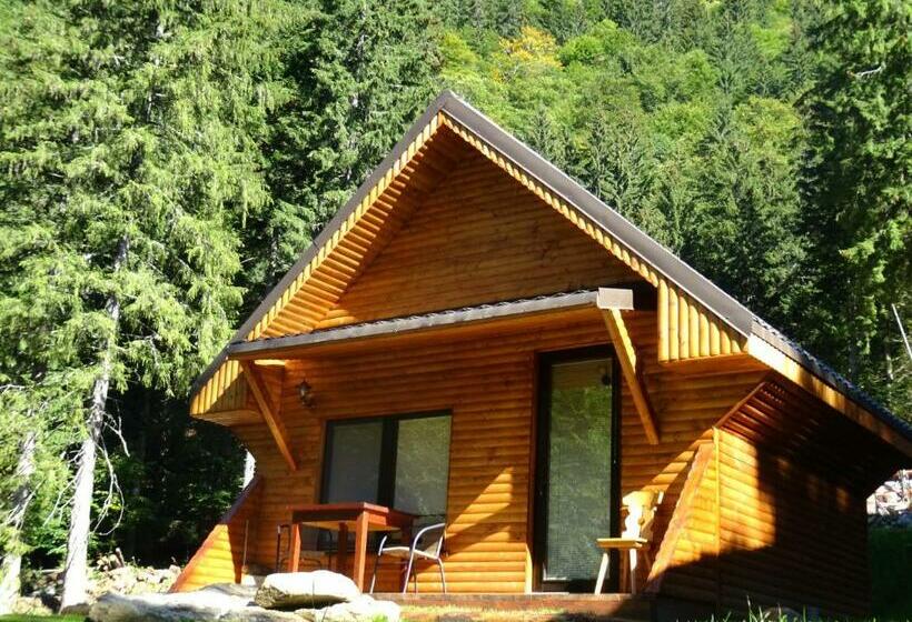 פנסיון Complex Vila Balea