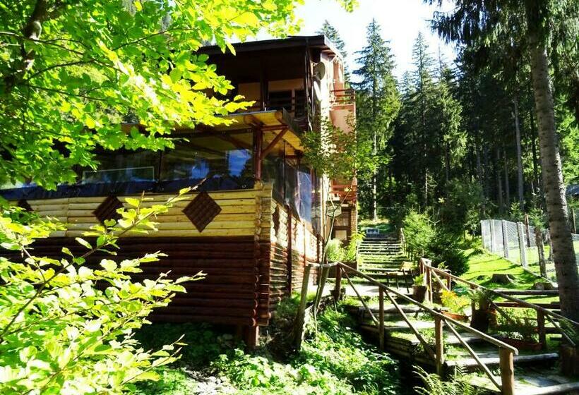 פנסיון Complex Vila Balea