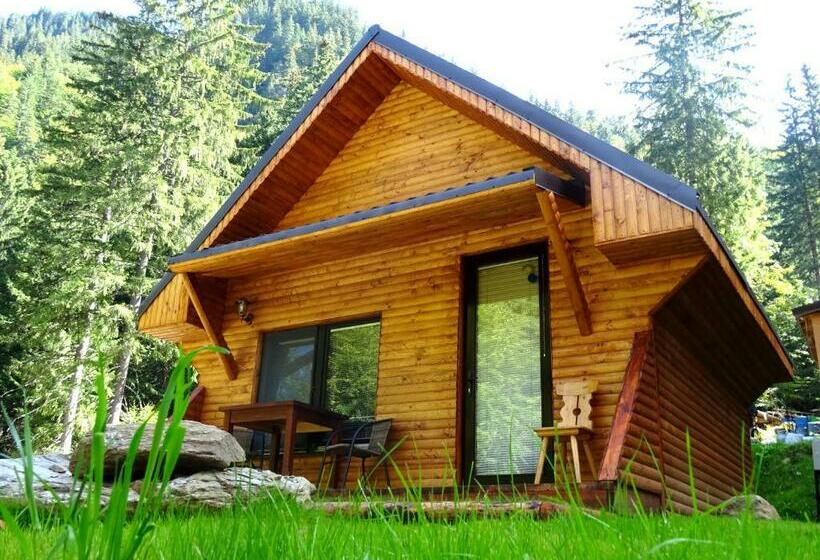 פנסיון Complex Vila Balea