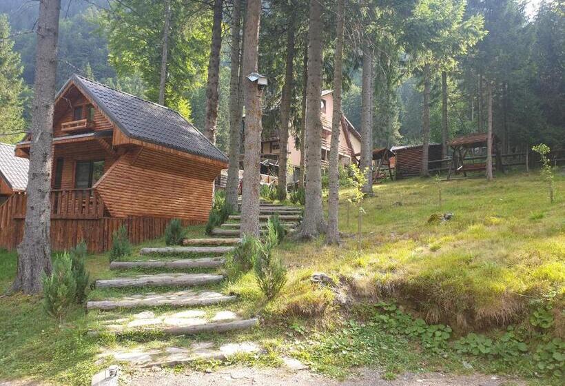 פנסיון Complex Vila Balea