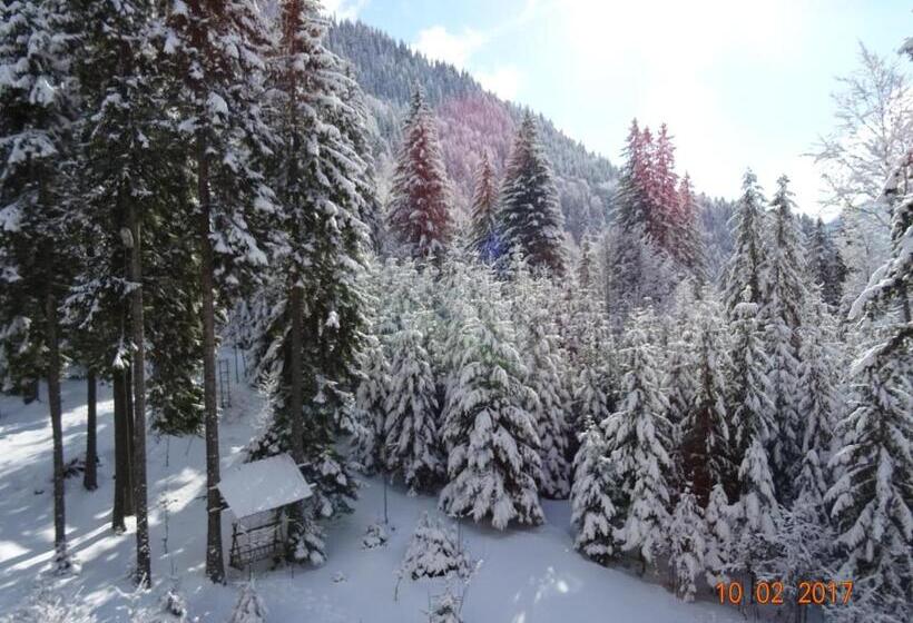 פנסיון Complex Vila Balea