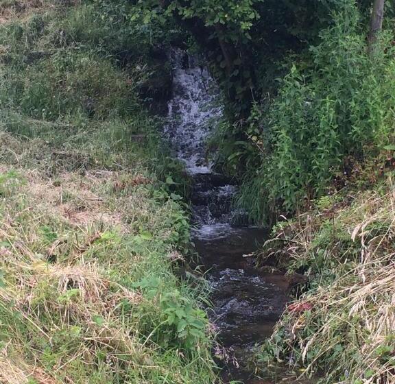 膳宿费 Woodmill Farm Apartment