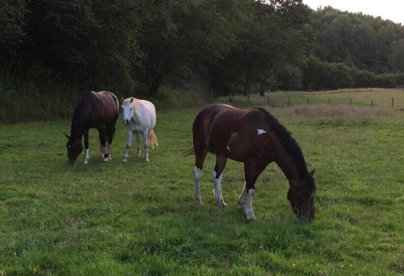 膳宿费 Woodmill Farm Apartment