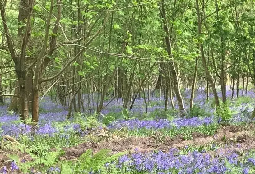 Majatalo Woodmill Farm Apartment