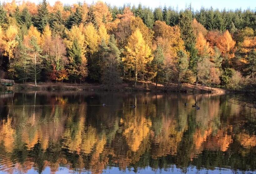 膳宿费 Woodmill Farm Apartment