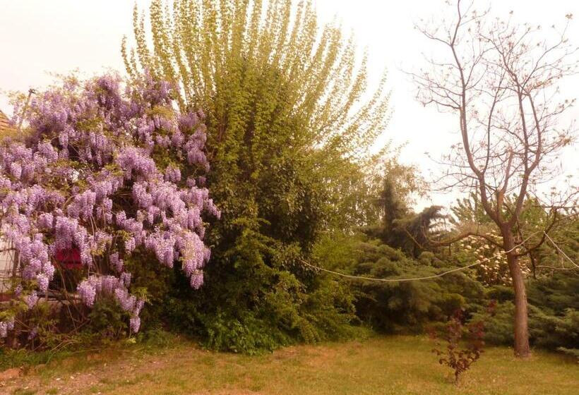 בית מלון כפרי Dobó Tanya