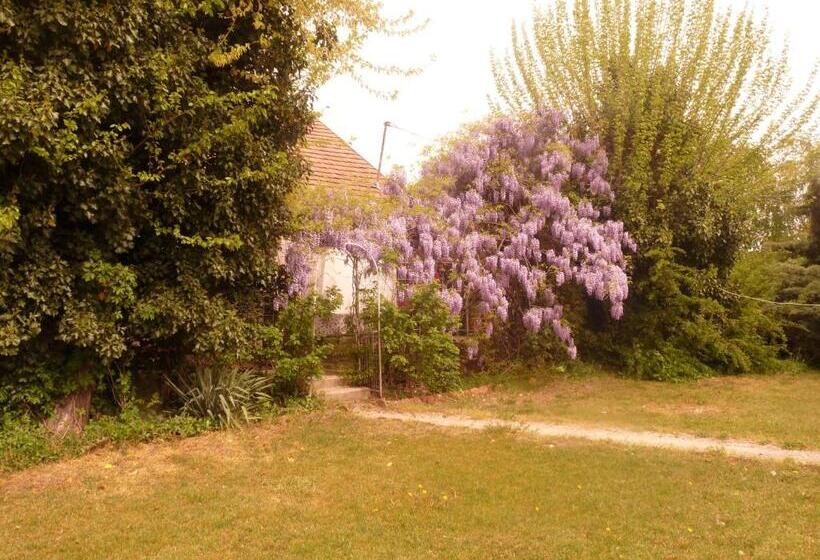 בית מלון כפרי Dobó Tanya