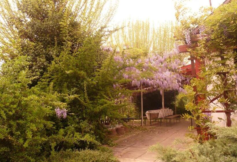 בית מלון כפרי Dobó Tanya