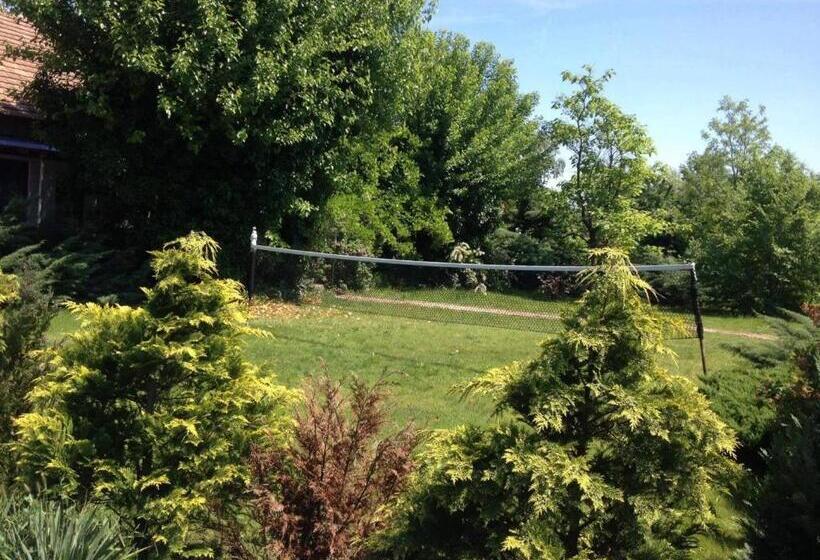 בית מלון כפרי Dobó Tanya