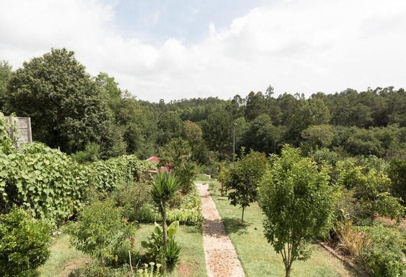 بنسيون Casa Do Campo Al