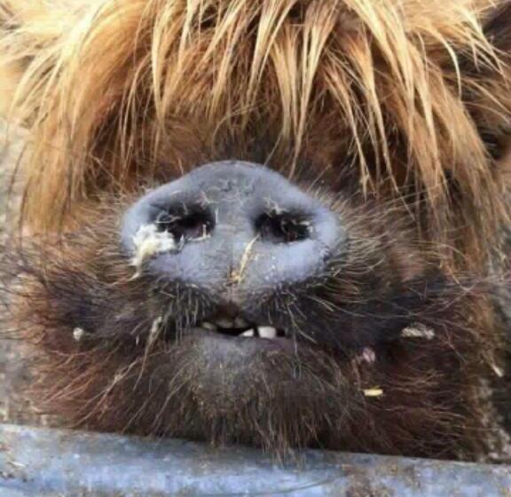 Ty Mawr At Bethania B&b Rooms And Crumble Cottage