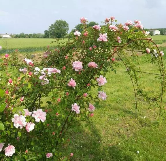 Aamiaismajoitus (B&B) Antico Pioppo