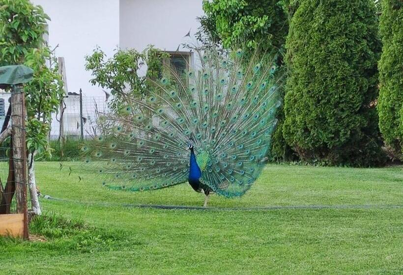 住宿加早餐 Monte Lago