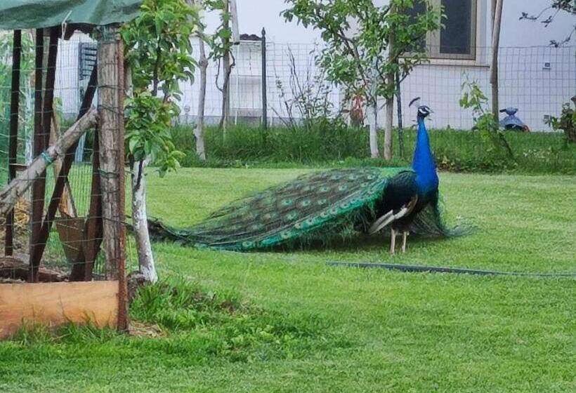 住宿加早餐 Monte Lago