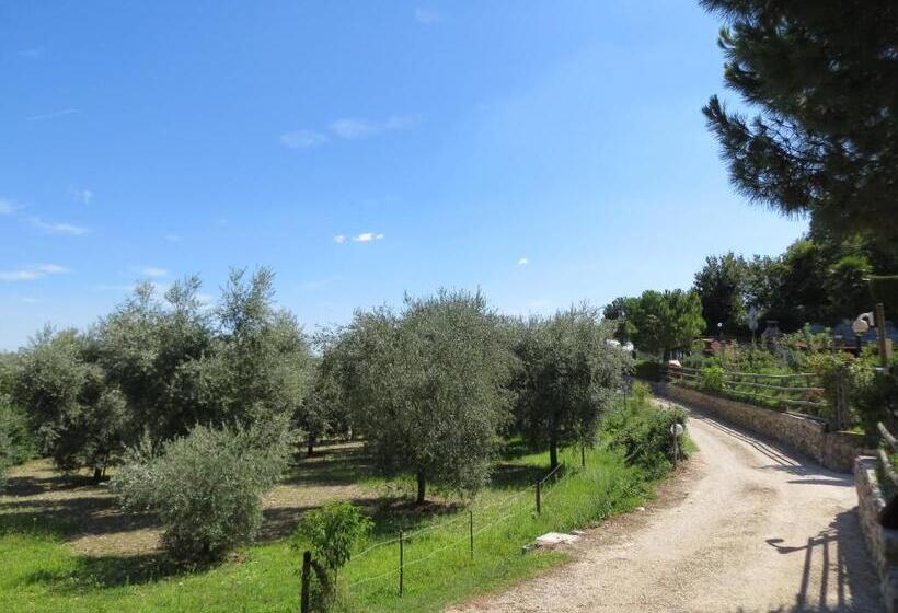 住宿加早餐 Monte Lago