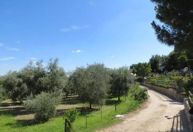 Aamiaismajoitus (B&B) Monte Lago