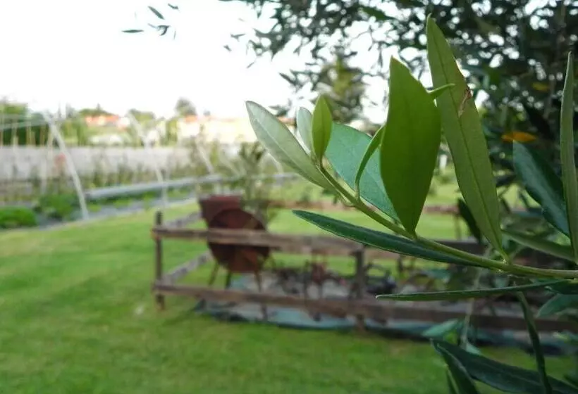 هتل Agriturismo 30