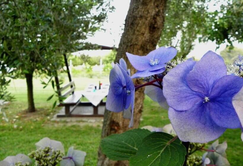 ホテル Agriturismo 30