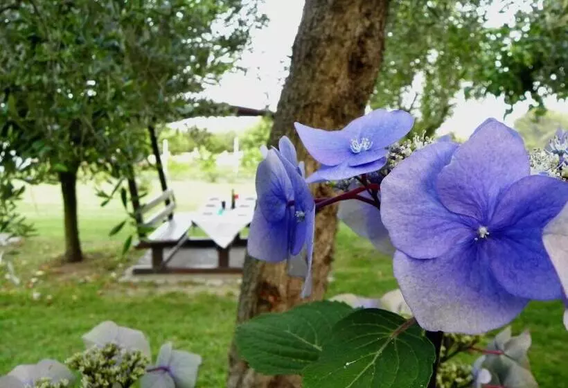 هتل Agriturismo 30