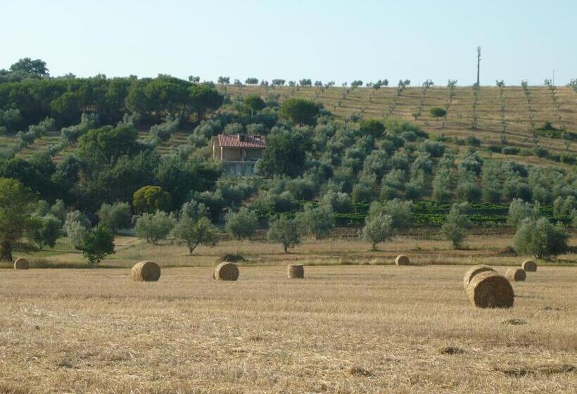 בית מלון כפרי Agriturismo San Lino Gilberto
