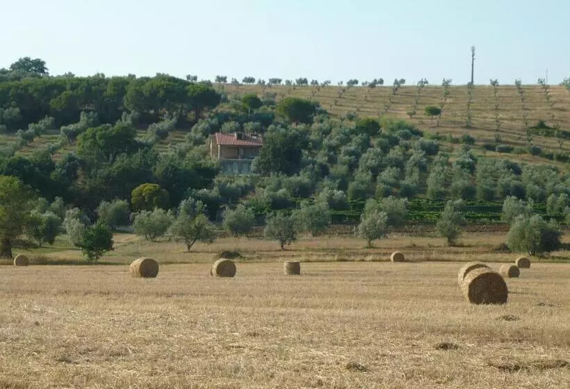 Hotelli Agriturismo San Lino Gilberto