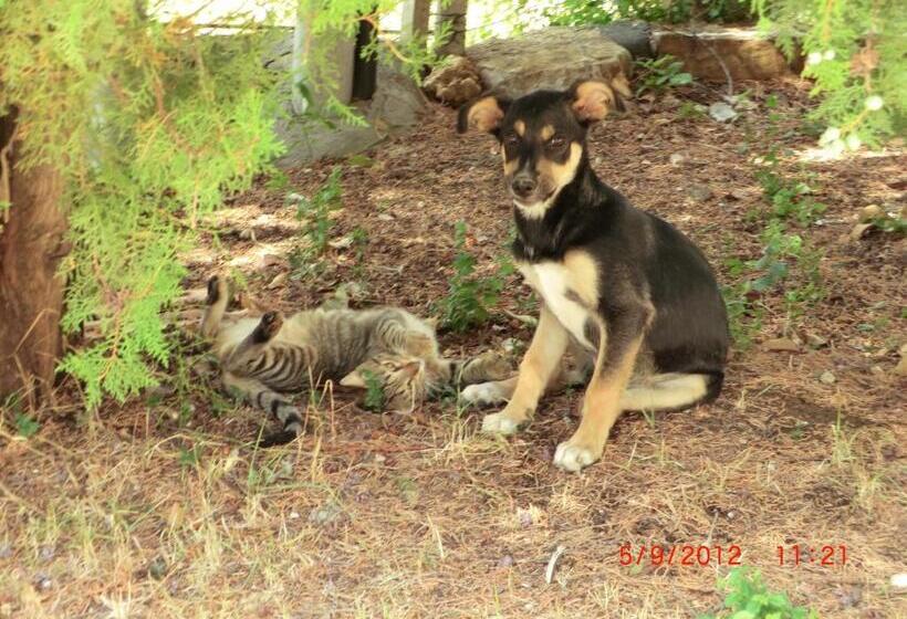 בית מלון כפרי Agriturismo San Lino Gilberto