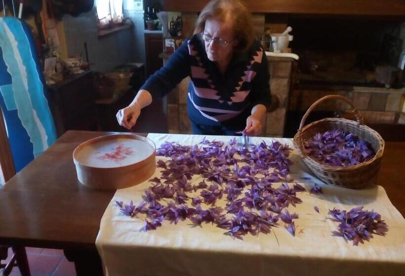 בית מלון כפרי Angolo Del Gelsomino