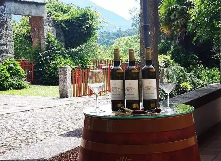 ホテル Quinta Da Chouza Agroturismo E Enoturismo