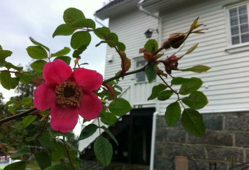 Pensão Arctic Garden