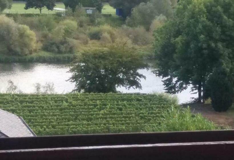 פנסיון Gästehaus Weingut Michael Scholer