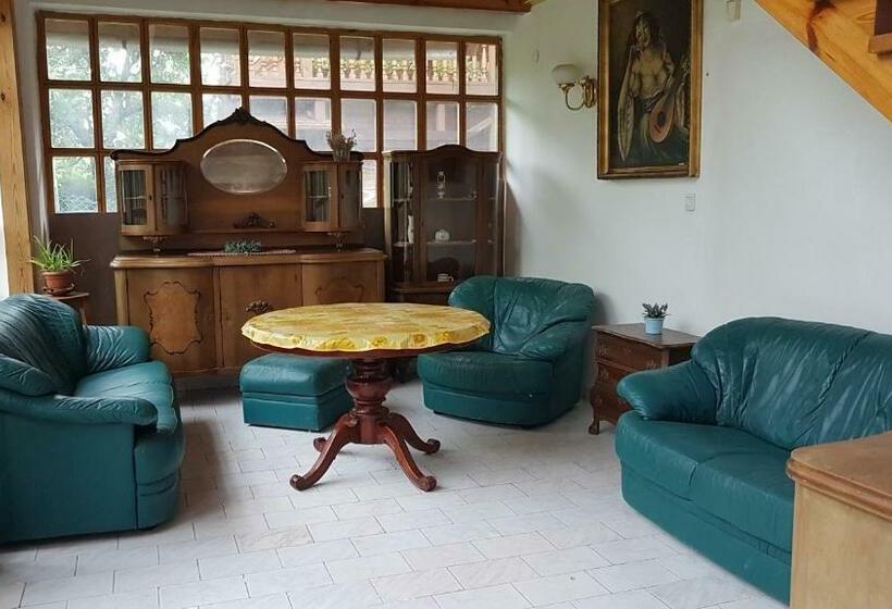 Pensionat Szatmári Vendégház