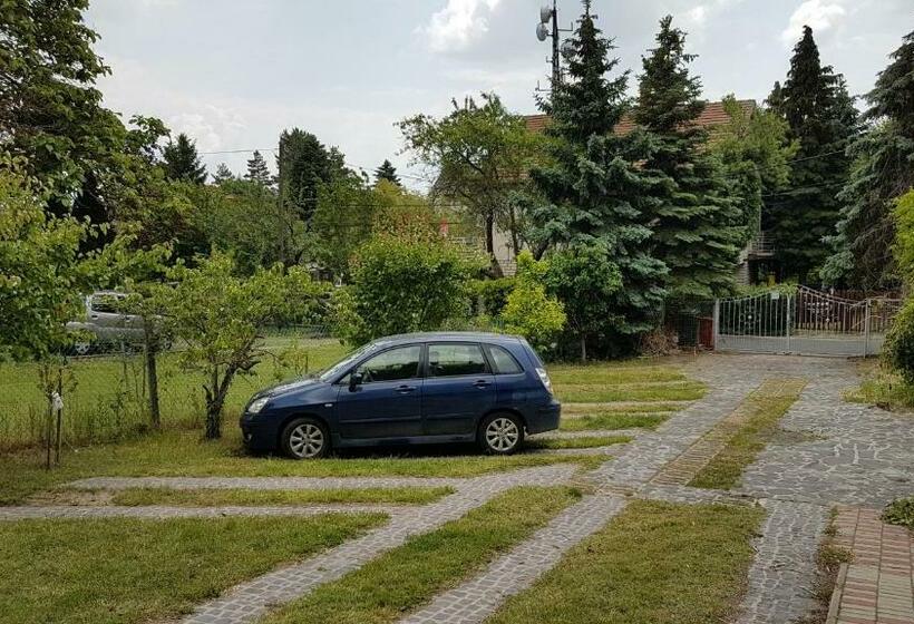 Pensionat Szatmári Vendégház