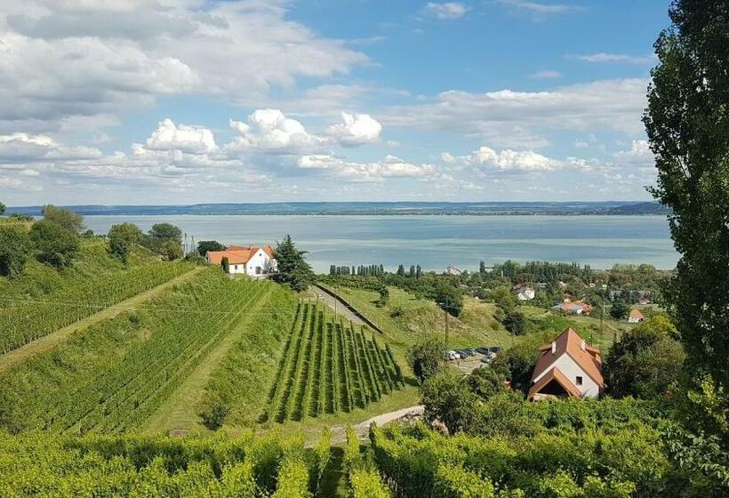 Pensionat Szatmári Vendégház