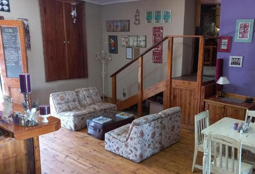 Общежитие The Grey S Inn