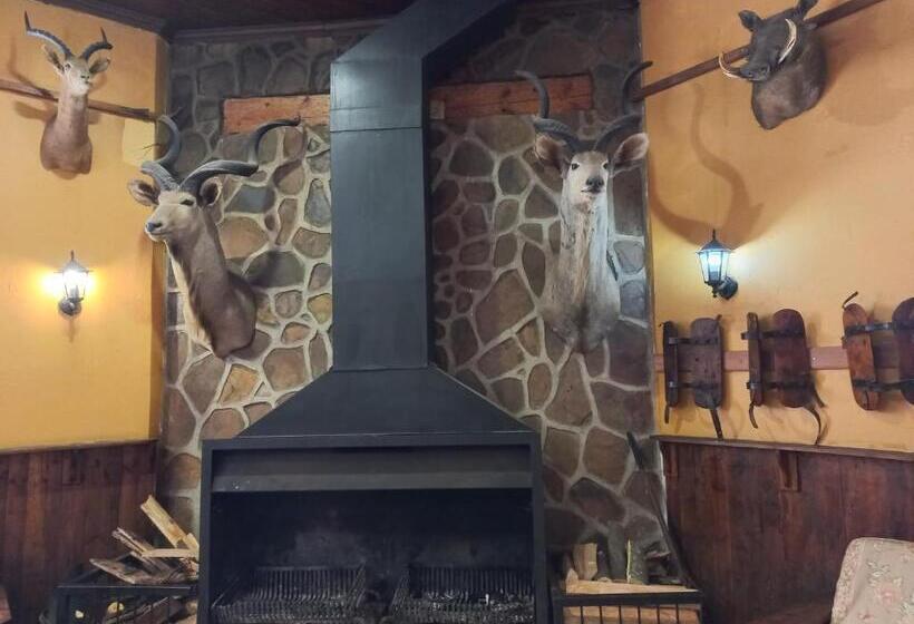 Общежитие The Grey S Inn