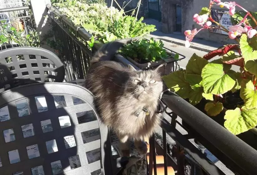 Aamiaismajoitus (B&B) Affittacamere Erbagatta