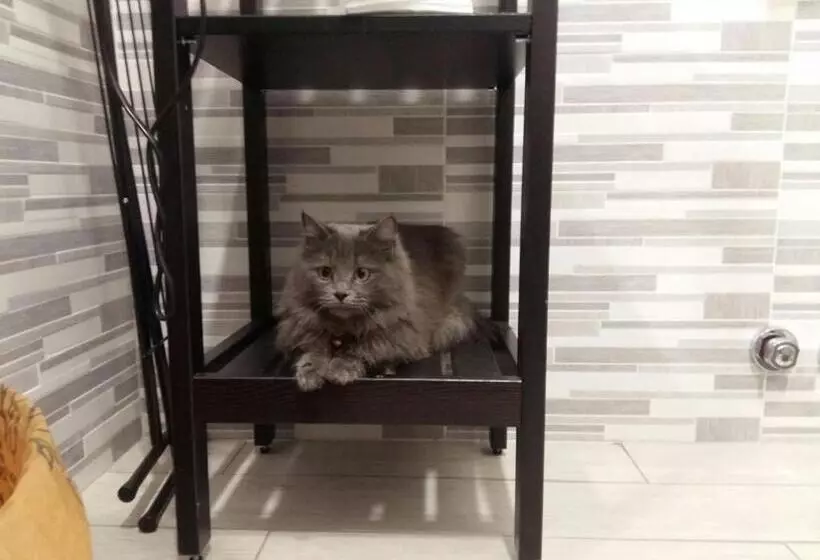 Aamiaismajoitus (B&B) Affittacamere Erbagatta