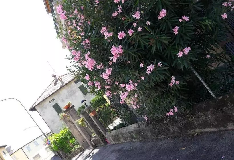 Aamiaismajoitus (B&B) Affittacamere Erbagatta