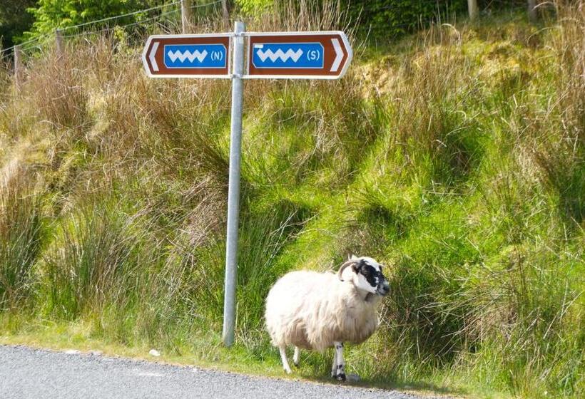 צימר Brook Lodge