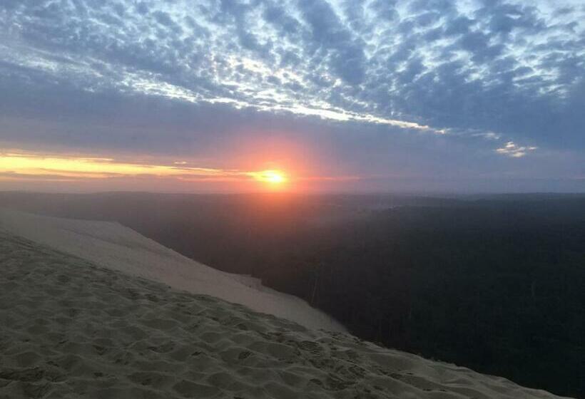 ベッドアンドブレックファースト Chambres Du Petit Bonheur