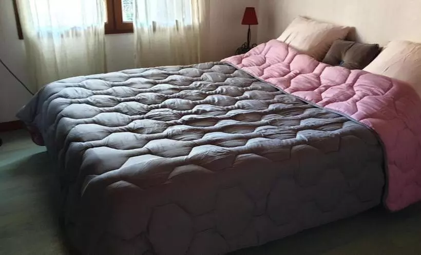 ベッドアンドブレックファースト Chambres Du Petit Bonheur