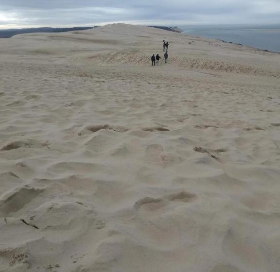 ベッドアンドブレックファースト Chambres Du Petit Bonheur