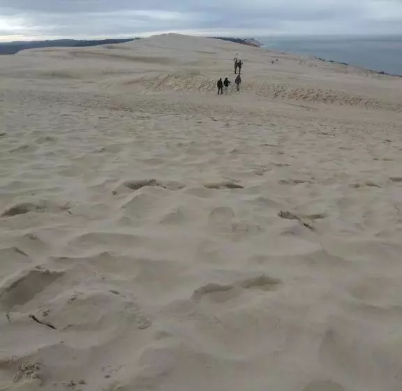 ベッドアンドブレックファースト Chambres Du Petit Bonheur