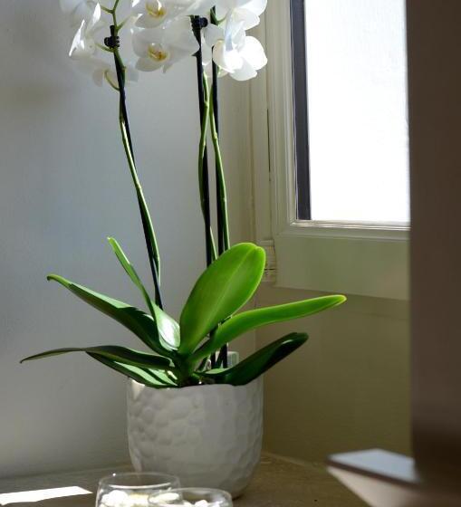 ベッドアンドブレックファースト Lalande Laborie