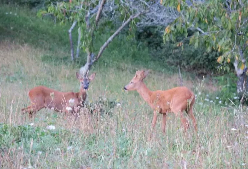 ベッドアンドブレックファースト Lalande Laborie