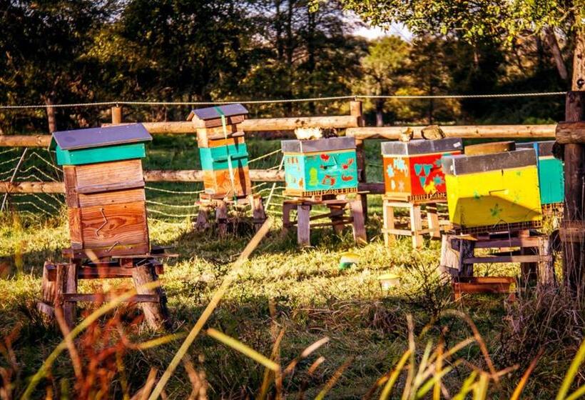 민박 Le Pré Doré