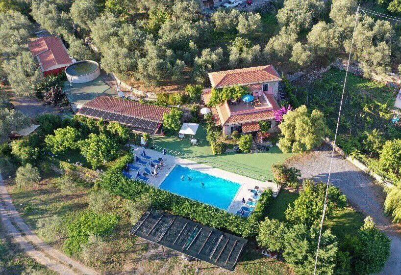 Отель Agriturismo La Vigna