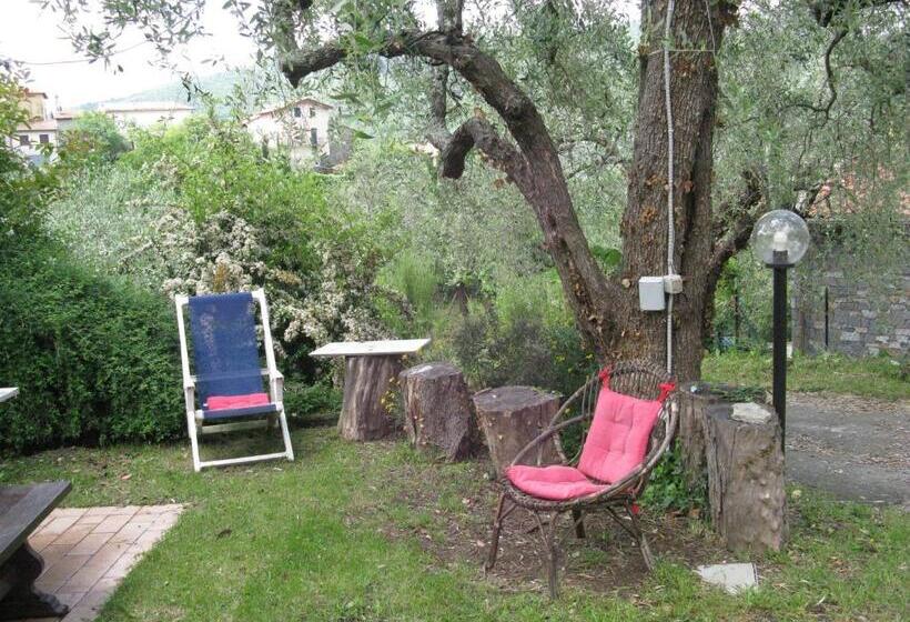 Отель Agriturismo La Vigna